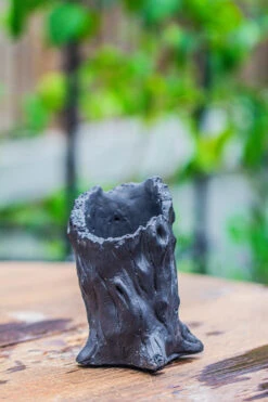 NCYP Close Geometric Glass Terrarium With Door, With Vents, Coconut Coir, Tree Stump Like Black Pot Building Set, For Snails, Spiders -Ncyp Garden Sale Shop IMG 0835