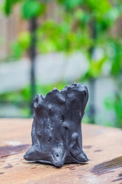 Small Black Tree Stump Like Planter, For Terrarium, Microlandscape -Ncyp Garden Sale Shop IMG 0836