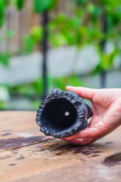 Small Black Tree Stump Like Planter, For Terrarium, Microlandscape -Ncyp Garden Sale Shop IMG 0838