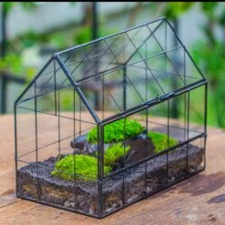 Black Theme Moss And Black Tree Stump Vintage Greenhgouse Tin And Glass Terrarium Kit