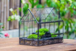 Black Theme Moss And Black Tree Stump Vintage Greenhgouse Tin And Glass Terrarium Kit -Ncyp Garden Sale Shop IMG 0921