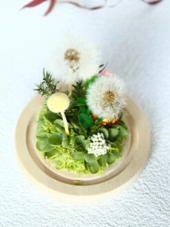 Presered Dandelion Set 3 Pcs Dried Flowers, DIY Material For Bouquet, -Ncyp Garden Sale Shop IMG 0928