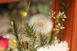 Presered Dandelion Set 3 Pcs Dried Flowers, DIY Material For Bouquet, -Ncyp Garden Sale Shop IMG 1041 1