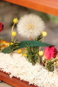 Presered Dandelion Set 3 Pcs Dried Flowers, DIY Material For Bouquet, -Ncyp Garden Sale Shop IMG 1043