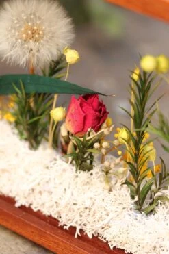 Presered Dandelion Set 3 Pcs Dried Flowers, DIY Material For Bouquet, -Ncyp Garden Sale Shop IMG 1044