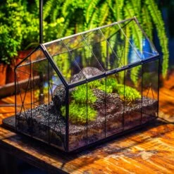 Handmade Vintage Greenhouse Inspired Tin Terrarium With LED Grow Light Set, Closed Glass Planter Set -Ncyp Garden Sale Shop IMG 1051 efffd442 5508 4480 8389 48a649b2d2ca