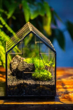 Handmade Vintage Greenhouse Inspired Tin Terrarium With LED Grow Light Set, Closed Glass Planter Set -Ncyp Garden Sale Shop IMG 1053 6271f323 3b38 48a7 8bde 8d56ae1e032f