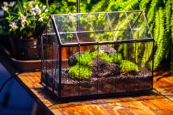 Handmade Vintage Greenhouse Inspired Tin Terrarium With LED Grow Light Set, Closed Glass Planter Set -Ncyp Garden Sale Shop IMG 1061 51b1ee1b caab 4824 adc8 b047c14d24f5