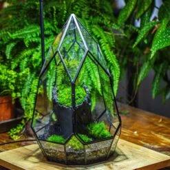 NCYP Irregular Close Geometric Glass Terrarium With Door Tall Teardrop Container Moss Terrarium DIY Building Kit