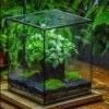 8x8x10" Tin And Glass Terrarium Kit, Tree And Moss Land