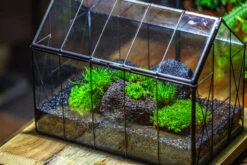 Black Theme Moss And Lava Rocks Vintage Greenhgouse Tin And Glass Terrarium Kit -Ncyp Garden Sale Shop IMG 1230