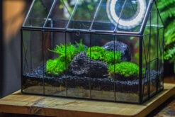 Black Theme Moss And Lava Rocks Vintage Greenhgouse Tin And Glass Terrarium Kit -Ncyp Garden Sale Shop IMG 1231