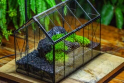 Black Theme Moss And Lava Rocks Vintage Greenhgouse Tin And Glass Terrarium Kit -Ncyp Garden Sale Shop IMG 1233