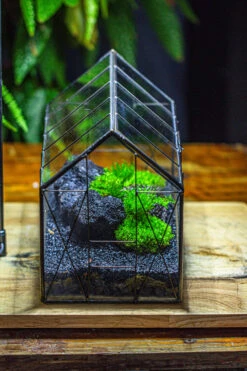 Black Theme Moss And Lava Rocks Vintage Greenhgouse Tin And Glass Terrarium Kit -Ncyp Garden Sale Shop IMG 1234