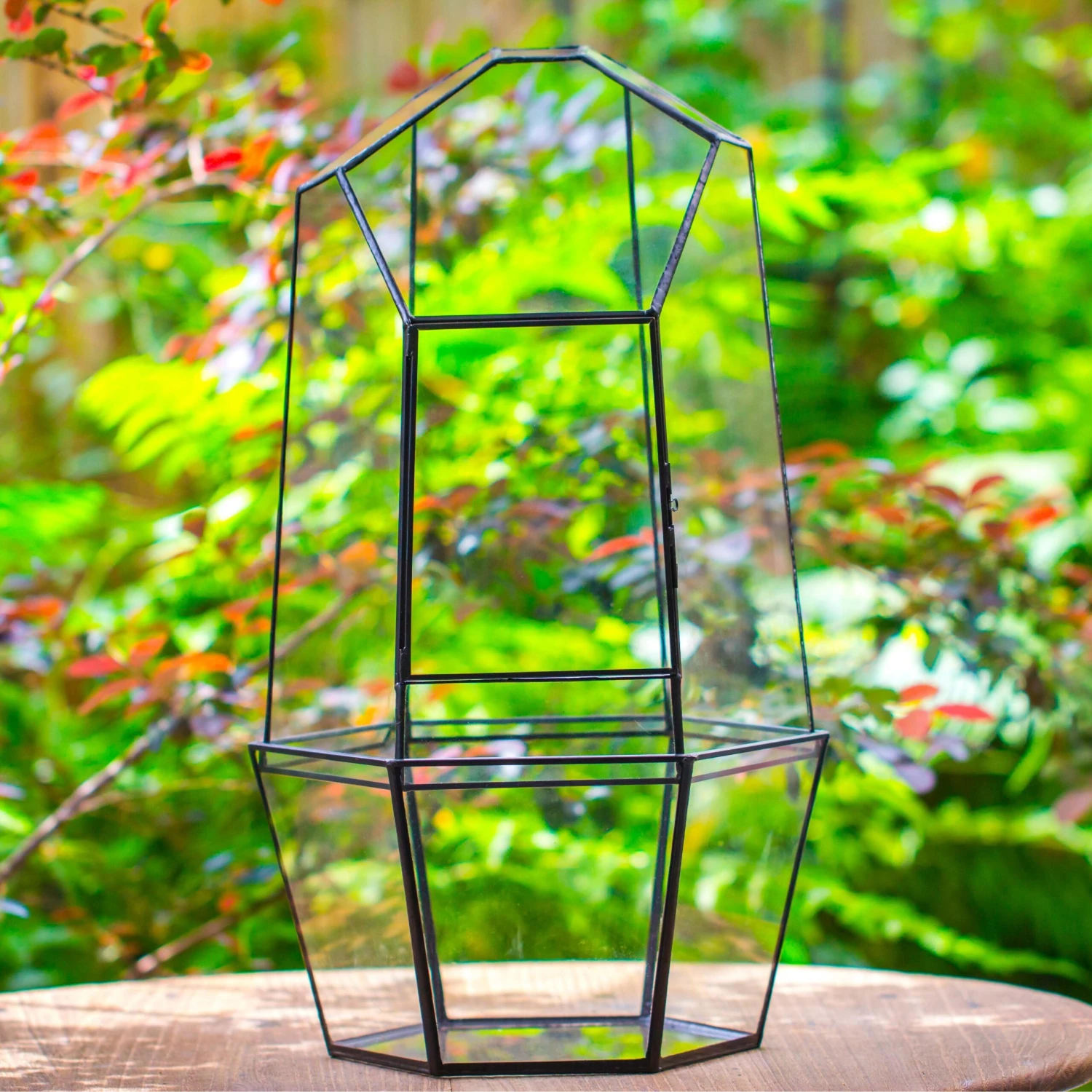 Large 2-Part 18.9" Tall Close Glass Terrarium For Orchid, Fern, Moss, Watertight 2 Large 2-Part 18.9" Tall Close Glass Terrarium For Orchid, Fern, Moss, Watertight - Image 2