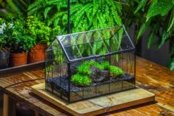 Black Theme Moss And Lava Rocks Vintage Greenhgouse Tin And Glass Terrarium Kit -Ncyp Garden Sale Shop IMG 1237