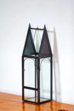 Mini Tall House Shape Jumping Spider Terrarium 22 Mini Tall House Shape Jumping Spider Terrarium -Ncyp Garden Sale Shop IMG 1266 1