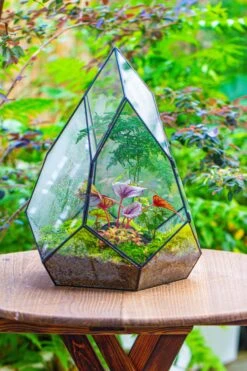 Large 16" Tall And Wide Teardrop Tin And Glass Terrarium, Close, With Door -Ncyp Garden Sale Shop IMG 1299 dac60fa3 d7c5 49d8 9dfd e88e9486fc48