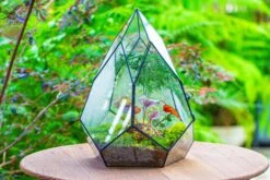 Large 16" Tall And Wide Teardrop Tin And Glass Terrarium, Close, With Door -Ncyp Garden Sale Shop IMG 1300 64c65c72 c675 4a84 a756 baebf61745fb