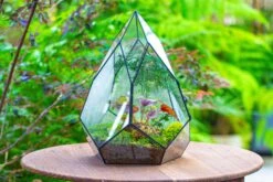 Large 16" Tall And Wide Teardrop Tin And Glass Terrarium, Close, With Door -Ncyp Garden Sale Shop IMG 1301 38ef91fa e36f 473d bc39 b31d4271fba7