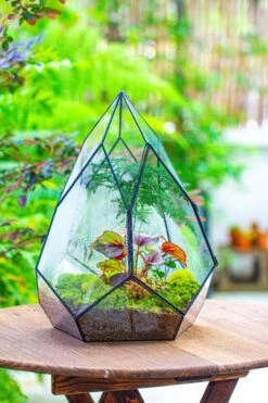 Large 16" Tall And Wide Teardrop Tin And Glass Terrarium, Close, With Door -Ncyp Garden Sale Shop IMG 1302