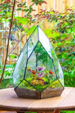 Large 16" Tall And Wide Teardrop Tin And Glass Terrarium, Close, With Door -Ncyp Garden Sale Shop IMG 1303