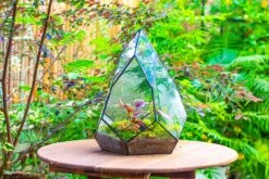 Large 16" Tall And Wide Teardrop Tin And Glass Terrarium, Close, With Door -Ncyp Garden Sale Shop IMG 1304