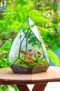 Large 16" Tall And Wide Teardrop Tin And Glass Terrarium, Close, With Door -Ncyp Garden Sale Shop IMG 1306
