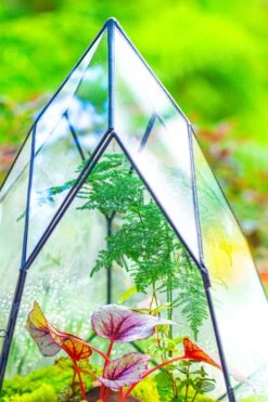 Large 16" Tall And Wide Teardrop Tin And Glass Terrarium, Close, With Door -Ncyp Garden Sale Shop IMG 1309