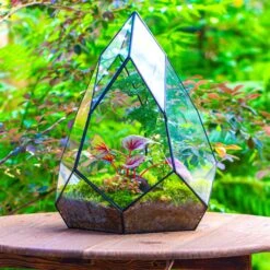 Large 16" Tall And Wide Teardrop Tin And Glass Terrarium, Close, With Door -Ncyp Garden Sale Shop IMG 1316 1