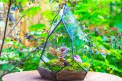 Large 16" Tall And Wide Teardrop Tin And Glass Terrarium, Close, With Door -Ncyp Garden Sale Shop IMG 1317 4a0f4412 4cd7 4724 ad97 0d4f980faff8