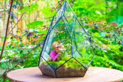 Large 16" Tall And Wide Teardrop Tin And Glass Terrarium, Close, With Door -Ncyp Garden Sale Shop IMG 1318