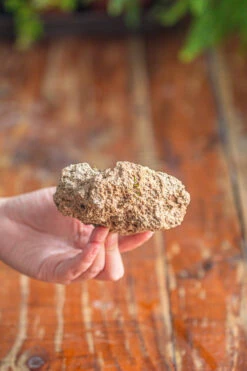 Natural Limestone Rock For Moss, Bonsai, Hydroponic Planting, 500-700G -Ncyp Garden Sale Shop IMG 1319