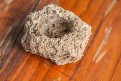 Natural Limestone Rock For Moss, Bonsai, Hydroponic Planting, 500-700G -Ncyp Garden Sale Shop IMG 1321