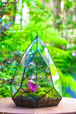 Large 16" Tall And Wide Teardrop Tin And Glass Terrarium, Close, With Door -Ncyp Garden Sale Shop IMG 1321 021bad38 518f 4734 b4a5 02150e9a53f6
