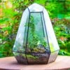 Large 16" Tall And Wide 6 Sided Cone Tin And Glass Terrarium, Close, With Door