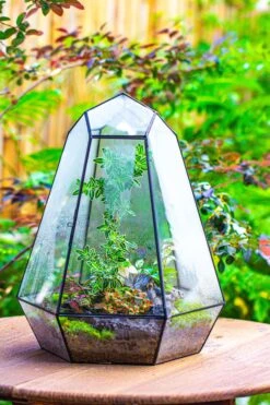 Large 16" Tall And Wide 6 Sided Cone Tin And Glass Terrarium, Close, With Door -Ncyp Garden Sale Shop IMG 1331