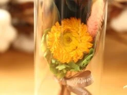 Dried Flowers Terrarium Gift Set Dried Strawflower Bouquet In Glass Tube -Ncyp Garden Sale Shop IMG 1334