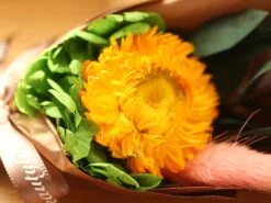 Dried Flowers Terrarium Gift Set Dried Strawflower Bouquet In Glass Tube -Ncyp Garden Sale Shop IMG 1335