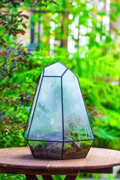 Large 16" Tall And Wide 6 Sided Cone Tin And Glass Terrarium, Close, With Door -Ncyp Garden Sale Shop IMG 1339 5cb1e65d 56db 4b4d 85f0 ce9893af7921