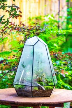 Large 16" Tall And Wide 6 Sided Cone Tin And Glass Terrarium, Close, With Door -Ncyp Garden Sale Shop IMG 1340 2eb42963 e1c4 4193 8a3e 85923ceb7502
