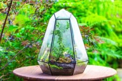 Large 16" Tall And Wide 6 Sided Cone Tin And Glass Terrarium, Close, With Door -Ncyp Garden Sale Shop IMG 1341 4afdd89b ad0e 4ab2 aef0 8e45e9409e7b