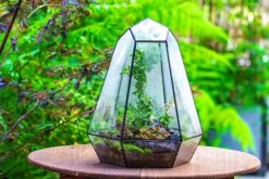 Large 16" Tall And Wide 6 Sided Cone Tin And Glass Terrarium, Close, With Door -Ncyp Garden Sale Shop IMG 1342 dcdde929 1264 4c67 9628 2c7329084e67