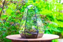 Large 16" Tall And Wide 6 Sided Cone Tin And Glass Terrarium, Close, With Door -Ncyp Garden Sale Shop IMG 1343 6493b8d5 d305 4ec8 a405 44123c7cdecc