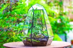 Large 16" Tall And Wide 6 Sided Cone Tin And Glass Terrarium, Close, With Door -Ncyp Garden Sale Shop IMG 1344 a5c832f1 9b37 4c8c a11d e7878506c72d