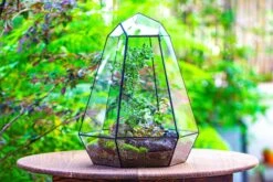 Large 16" Tall And Wide 6 Sided Cone Tin And Glass Terrarium, Close, With Door -Ncyp Garden Sale Shop IMG 1345 85abeb35 6aee 4951 a202 8306a34e34bf
