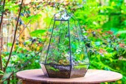Large 16" Tall And Wide 6 Sided Cone Tin And Glass Terrarium, Close, With Door -Ncyp Garden Sale Shop IMG 1346 2ca5d340 9caa 4448 8c0c 9de7bb45bedf