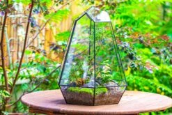 Large 16" Tall And Wide 6 Sided Cone Tin And Glass Terrarium, Close, With Door -Ncyp Garden Sale Shop IMG 1347 a232b59c 859b 4846 a10e 90e5abe7dc14