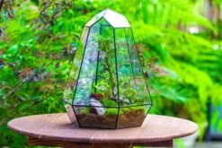 Large 16" Tall And Wide 6 Sided Cone Tin And Glass Terrarium, Close, With Door -Ncyp Garden Sale Shop IMG 1352
