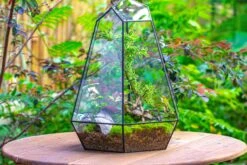 Large 16" Tall And Wide 6 Sided Cone Tin And Glass Terrarium, Close, With Door -Ncyp Garden Sale Shop IMG 1354